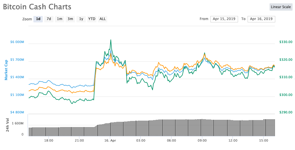 bitcoin cash bch 24 price rise