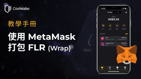 How to Wrap FLR Token with MetaMask_zh